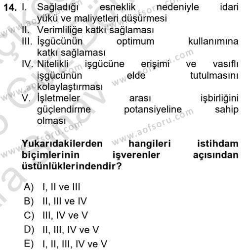 İstihdam ve İşsizlik Dersi 2024 - 2025 Yılı (Vize) Ara Sınavı 14. Soru