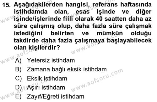 İstihdam ve İşsizlik Dersi 2024 - 2025 Yılı (Vize) Ara Sınavı 15. Soru