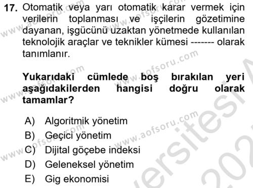 İstihdam ve İşsizlik Dersi 2024 - 2025 Yılı (Vize) Ara Sınavı 17. Soru