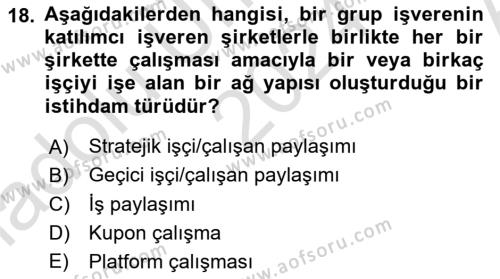 İstihdam ve İşsizlik Dersi 2024 - 2025 Yılı (Vize) Ara Sınavı 18. Soru