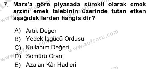 İstihdam ve İşsizlik Dersi 2024 - 2025 Yılı (Vize) Ara Sınavı 7. Soru