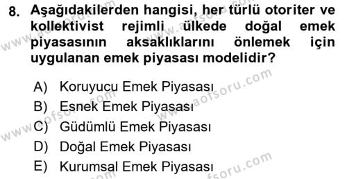 İstihdam ve İşsizlik Dersi 2024 - 2025 Yılı (Vize) Ara Sınavı 8. Soru