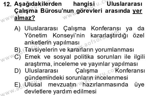 Uluslararası Sosyal Politika Dersi 2014 - 2015 Yılı Tek Ders Sınavı 12. Soru