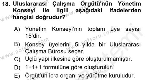 Uluslararası Sosyal Politika Dersi 2017 - 2018 Yılı (Vize) Ara Sınavı 18. Soru