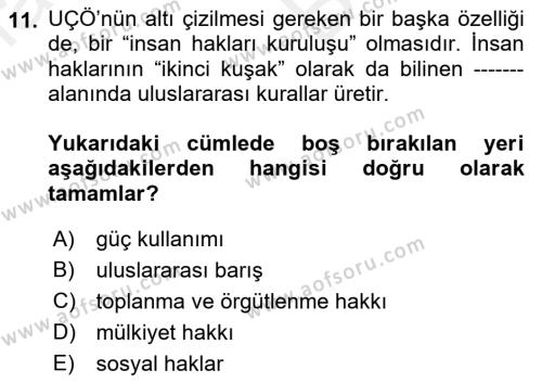 Uluslararası Sosyal Politika Dersi 2018 - 2019 Yılı (Vize) Ara Sınavı 11. Soru