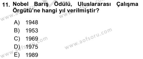 Uluslararası Sosyal Politika Dersi 2021 - 2022 Yılı (Final) Dönem Sonu Sınavı 11. Soru