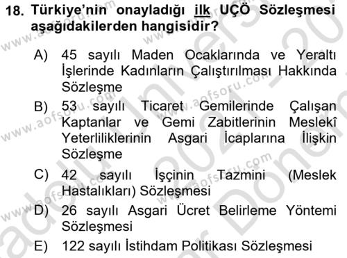 Uluslararası Sosyal Politika Dersi 2021 - 2022 Yılı (Final) Dönem Sonu Sınavı 18. Soru