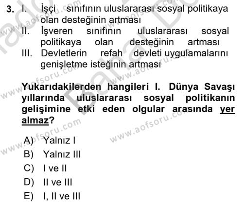 Uluslararası Sosyal Politika Dersi 2021 - 2022 Yılı (Final) Dönem Sonu Sınavı 3. Soru