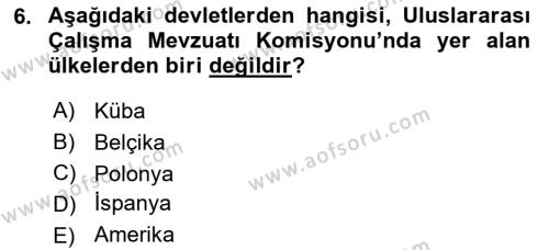 Uluslararası Sosyal Politika Dersi 2021 - 2022 Yılı (Final) Dönem Sonu Sınavı 6. Soru