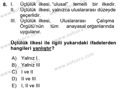 Uluslararası Sosyal Politika Dersi 2021 - 2022 Yılı (Final) Dönem Sonu Sınavı 8. Soru