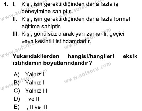 Çalışma Ekonomisi Dersi 2021 - 2022 Yılı (Vize) Ara Sınavı 1. Soru