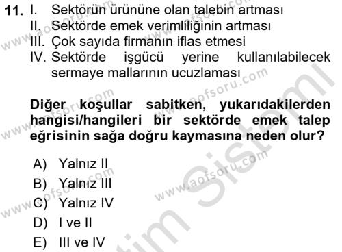 Çalışma Ekonomisi Dersi 2021 - 2022 Yılı (Vize) Ara Sınavı 11. Soru