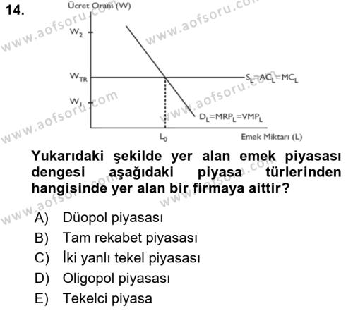 Çalışma Ekonomisi Dersi 2021 - 2022 Yılı (Vize) Ara Sınavı 14. Soru