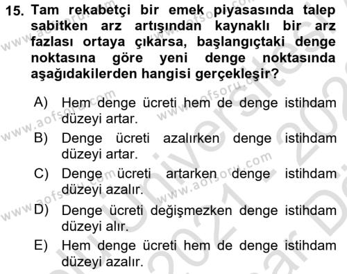 Çalışma Ekonomisi Dersi 2021 - 2022 Yılı (Vize) Ara Sınavı 15. Soru