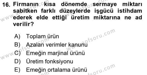 Çalışma Ekonomisi Dersi 2021 - 2022 Yılı (Vize) Ara Sınavı 16. Soru