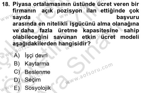 Çalışma Ekonomisi Dersi 2021 - 2022 Yılı (Vize) Ara Sınavı 18. Soru