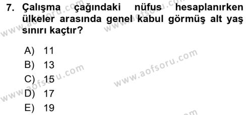 Çalışma Ekonomisi Dersi 2021 - 2022 Yılı (Vize) Ara Sınavı 7. Soru