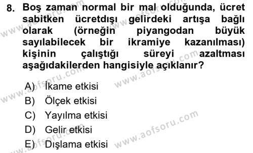 Çalışma Ekonomisi Dersi 2021 - 2022 Yılı (Vize) Ara Sınavı 8. Soru