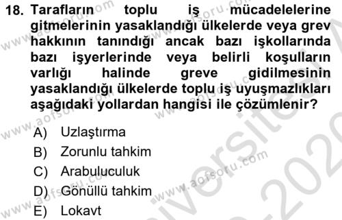 Endüstri İlişkileri Dersi 2019 - 2020 Yılı (Final) Dönem Sonu Sınavı 18. Soru