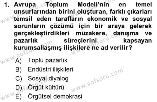 Endüstri İlişkileri Dersi 2021 - 2022 Yılı (Final) Dönem Sonu Sınavı 1. Soru