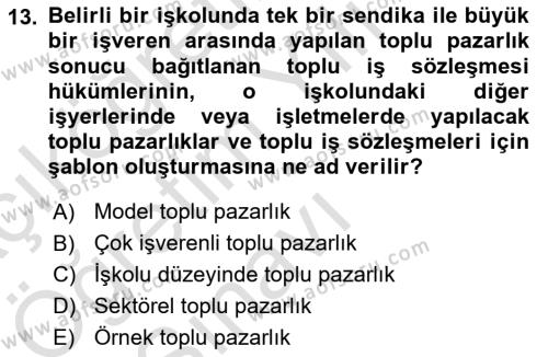 Endüstri İlişkileri Dersi 2021 - 2022 Yılı Yaz Okulu Sınavı 13. Soru