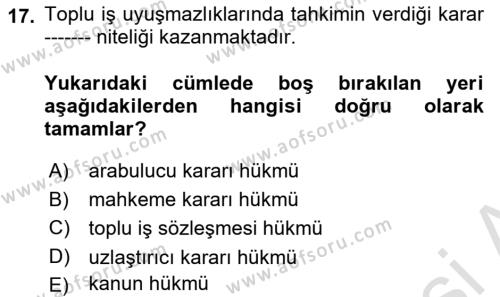 Endüstri İlişkileri Dersi 2021 - 2022 Yılı Yaz Okulu Sınavı 17. Soru