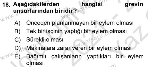 Endüstri İlişkileri Dersi 2021 - 2022 Yılı Yaz Okulu Sınavı 18. Soru