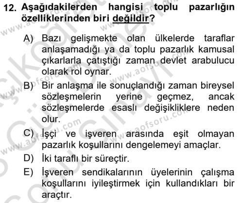 Endüstri İlişkileri Dersi 2022 - 2023 Yılı (Final) Dönem Sonu Sınavı 12. Soru