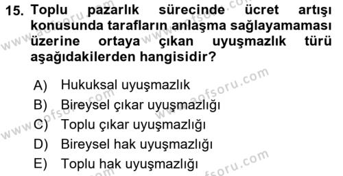 Endüstri İlişkileri Dersi 2022 - 2023 Yılı (Final) Dönem Sonu Sınavı 15. Soru