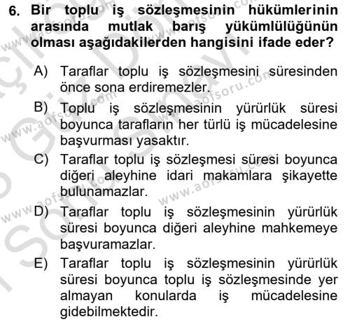 Endüstri İlişkileri Dersi 2022 - 2023 Yılı (Final) Dönem Sonu Sınavı 6. Soru