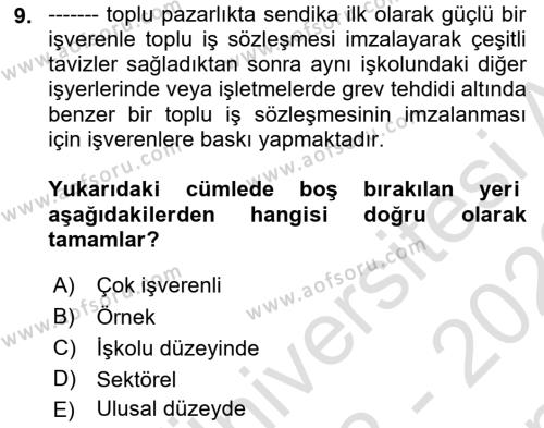 Endüstri İlişkileri Dersi 2022 - 2023 Yılı (Final) Dönem Sonu Sınavı 9. Soru