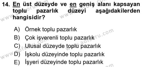 Endüstri İlişkileri Dersi 2022 - 2023 Yılı Yaz Okulu Sınavı 14. Soru