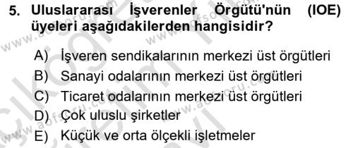 Endüstri İlişkileri Dersi 2022 - 2023 Yılı Yaz Okulu Sınavı 5. Soru