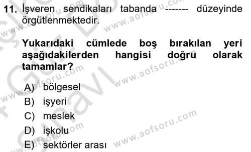 Endüstri İlişkileri Dersi 2023 - 2024 Yılı (Vize) Ara Sınavı 11. Soru