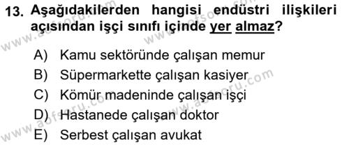 Endüstri İlişkileri Dersi 2023 - 2024 Yılı (Vize) Ara Sınavı 13. Soru