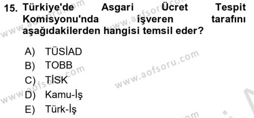 Endüstri İlişkileri Dersi 2023 - 2024 Yılı (Vize) Ara Sınavı 15. Soru