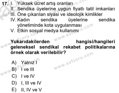 Endüstri İlişkileri Dersi 2023 - 2024 Yılı (Vize) Ara Sınavı 17. Soru