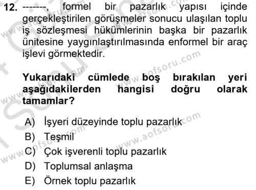 Endüstri İlişkileri Dersi 2023 - 2024 Yılı (Final) Dönem Sonu Sınavı 12. Soru