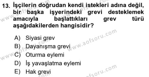 Endüstri İlişkileri Dersi 2023 - 2024 Yılı (Final) Dönem Sonu Sınavı 13. Soru