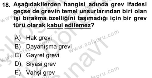 Endüstri İlişkileri Dersi 2023 - 2024 Yılı (Final) Dönem Sonu Sınavı 18. Soru