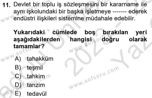 Endüstri İlişkileri Dersi 2023 - 2024 Yılı Yaz Okulu Sınavı 11. Soru