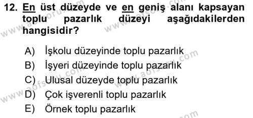 Endüstri İlişkileri Dersi 2023 - 2024 Yılı Yaz Okulu Sınavı 12. Soru