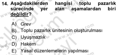 Endüstri İlişkileri Dersi 2023 - 2024 Yılı Yaz Okulu Sınavı 14. Soru