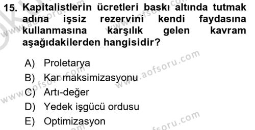 Endüstri İlişkileri Dersi 2023 - 2024 Yılı Yaz Okulu Sınavı 15. Soru