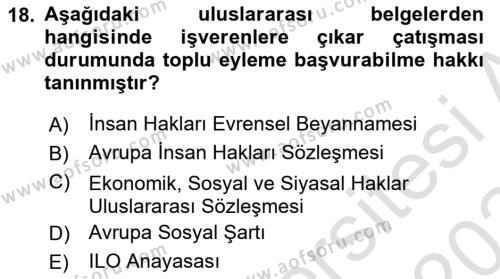 Endüstri İlişkileri Dersi 2023 - 2024 Yılı Yaz Okulu Sınavı 18. Soru