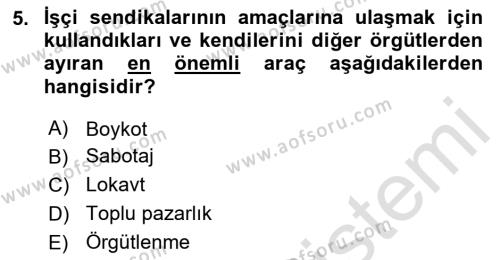 Endüstri İlişkileri Dersi 2023 - 2024 Yılı Yaz Okulu Sınavı 5. Soru