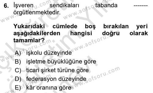 Endüstri İlişkileri Dersi 2023 - 2024 Yılı Yaz Okulu Sınavı 6. Soru