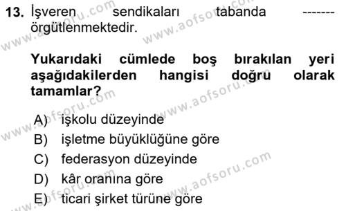 Endüstri İlişkileri Dersi 2024 - 2025 Yılı (Vize) Ara Sınavı 13. Soru