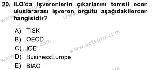Endüstri İlişkileri Dersi 2024 - 2025 Yılı (Vize) Ara Sınavı 20. Soru