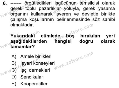 Endüstri İlişkileri Dersi 2024 - 2025 Yılı (Vize) Ara Sınavı 6. Soru